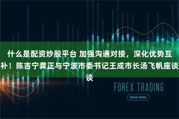 什么是配资炒股平台 加强沟通对接，深化优势互补！陈吉宁龚正与宁波市委书记王成市长汤飞帆座谈