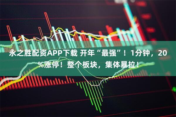 永之胜配资APP下载 开年“最强”！1分钟，20%涨停！整个板块，集体暴拉！
