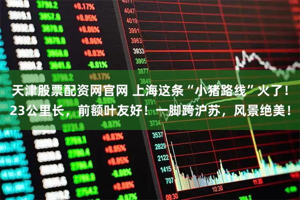 天津股票配资网官网 上海这条“小猪路线”火了！23公里长，前额叶友好！一脚跨沪苏，风景绝美！